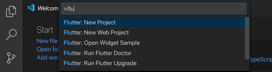 图 2:在 VSC 中开始一个新的 Flatter 项目